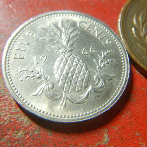 外国・バハマ／５セント白銅貨（1966年） 24041402の画像3
