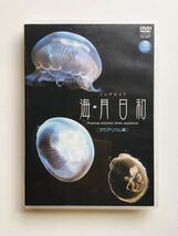 【DVD】海月日和 アクアリウム編 クラゲ くらげびより, 新江ノ島水族館,竹書房 ☆★_画像1