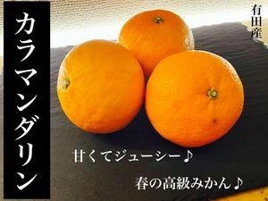 有田みかん　カラマンダリン　3キロ　訳あり　産地直送　和歌山県