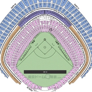東京ドーム スターシート ネット裏 5/5(祝)巨人vs阪神 送料込ペアの画像2