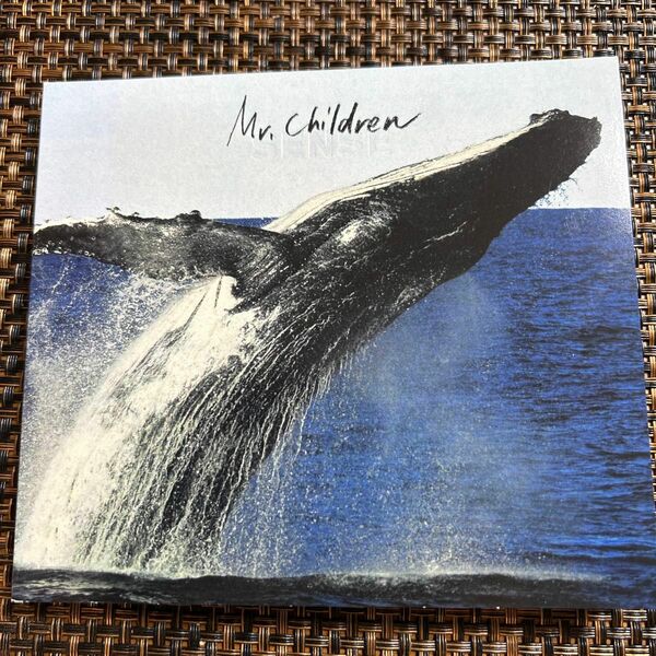  Ｍｒ．Ｃｈｉｌｄｒｅｎ／ＳＥＮＳＥ