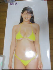 [ free shipping ] wistaria .... life-size poster yellow bikini asa. Secret 