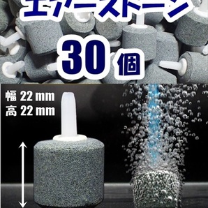 【送料込】エアーストーン 30個 22mm  エアストーン  シュリンプ・金魚・メダカ水槽のエアー供給用に 内径4mmのエアーチューブで接続可の画像1