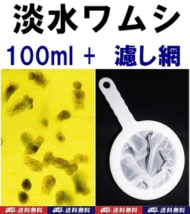 【送料込】淡水ワムシ 種水　100ml + 濾し網 M 1個　 　ツボワムシ　培養液　メダカ・金魚の針子の活き餌　動物プランクトン　水槽用品