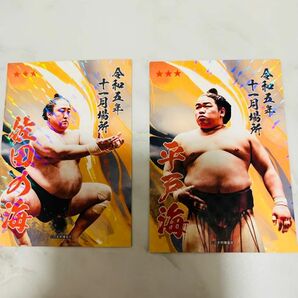 大相撲カード　佐田の海、平戸海　令和五年十一月場所　福岡