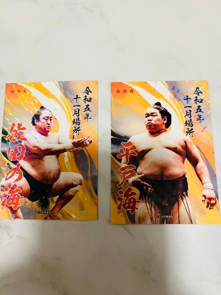 大相撲カード 佐田の海、平戸海 令和五年十一月場所 福岡