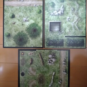 TRPG D&D 3.5版 DUNGEON TILES RUIN OF THE WILD 未開封の画像7