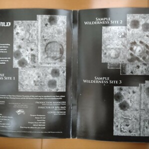 TRPG D&D 3.5版 DUNGEON TILES 開封済 RUINS OF THE WILDの画像3