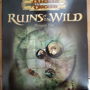 TRPG D&D 3.5版 DUNGEON TILES 開封済 RUINS OF THE WILDの画像1