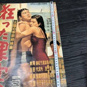 川 映画ポスター 日活 石原裕次郎 狂った果実 当時物の画像5