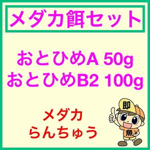 お得なメダカ餌セット おとひめA50g おとひめB2 100g