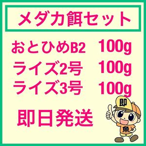 お得なメダカ餌セット おとひめB2 ライズ2号 ライズ3号 各100gづつ合計300g