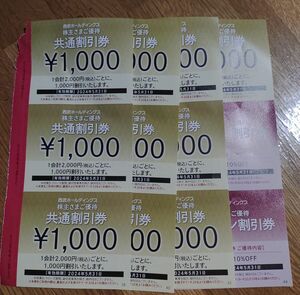  西武ホールディングス 株主優待 共通割引券 1000円券10枚