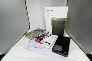 SONY WALKMAN NW-WM1AM2 美品 TPUケース付き