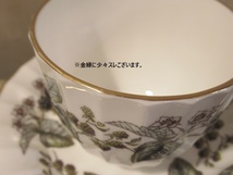 〓ROYAL WORCESTER ロイヤルウースター ラビニア ティーカップ＆ソーサー Lavinia ボタニカル柄 C&S 英国製 ヴィンテージ 洋食器 ξ_画像6