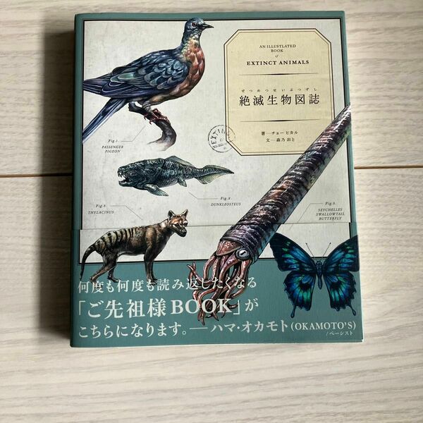 絶滅生物図誌 チョーヒカル／著　森乃おと／文