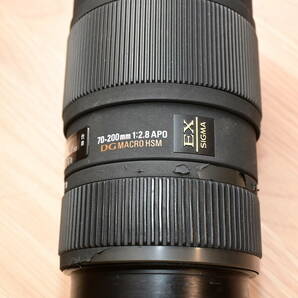 0410/E593-10 SIGMA APO 70-200mm F2.8 EX DG MACRO HSM Nikon ニコン シグマの画像4