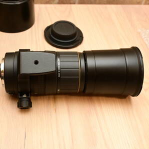 0423/E616G-9 SIGMA AF APO 170-500mm F5-6.3 Canon EFマウント シグマ キャノンの画像6