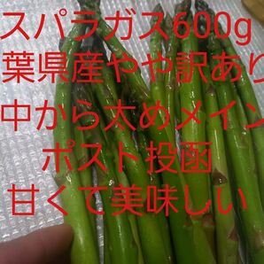 千葉県産　アスパラガス600g　中から太めメイン　M L 2L　やや訳あり　千葉県産　ポスト投函　甘くて美味しい