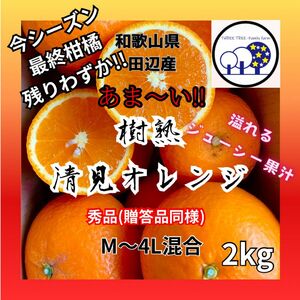 ③和歌山県田辺産 清見オレンジ きよみ 清美 柑橘 蜜柑 みかん 2kg
