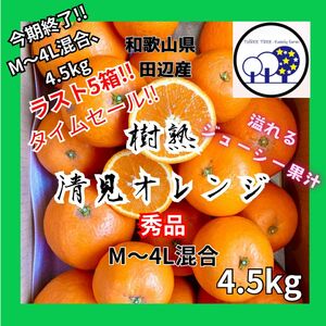 早い者勝ち!和歌山県田辺産 M～4L、4.5kg清見オレンジ きよみ 清美