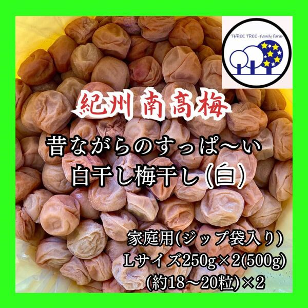 紀州南高梅 無添加梅干しL すっぱい白干し梅 家庭用250g×2②