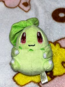 ポケモン チコリータ ぬいぐるみ プチぬいぐるみ ポケモンセンター 2018年