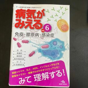 病気がみえる　ｖｏｌ．６ 医療情報科学研究所／編集