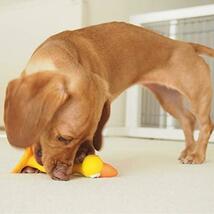PLATZ PET SUPPLISES&FUN(プラッツ) 犬用おもちゃ 小型犬 スクリーミングチキン イエロー_画像5