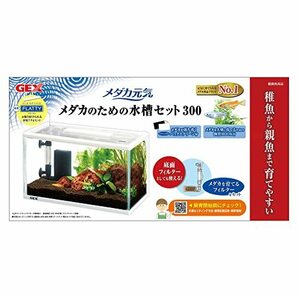 ジェックス GEX メダカ元気 メダカのための水槽セット300 メダカ専用設計 産卵・稚魚育成の画像4