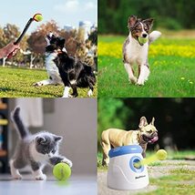 pet prime 犬用おもちゃ ミニテニスボール 6個入り 直径5cm ボールランチャー適用 犬 ペット用品 運動不足 ストレス解消_画像6