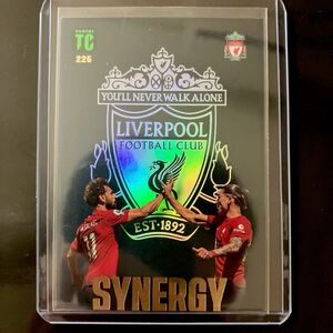 希少 リヴァプール サッカーカード PANINI TOP CLASS SYNERGY サラー ヌニェス