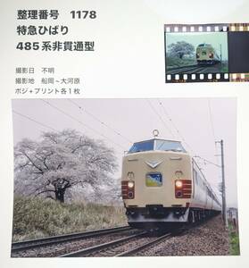 【1178】「485系特急ひばり」東北本線きっての桜の名所（ポジフィルム＆プリント）