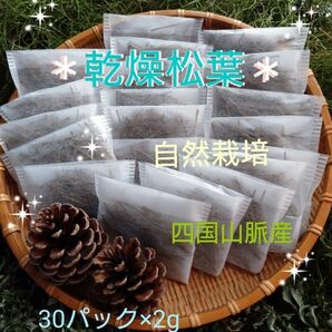 30パック☆松葉茶＊自然栽培