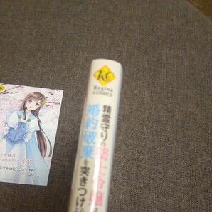 ■■2024.4月付発行■オミクニ「精霊守りの薬士令嬢は、婚約破棄を突きつけられたようです(3)」■特典カード付■レジーナの画像4