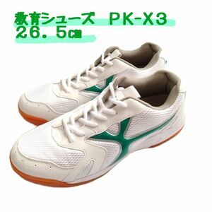 教育シューズ PK-X3 未使用に近い 体育館シューズ 学校指定