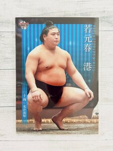 ☆ BBM2021 大相撲カード レギュラーカード 54 若元春港 ☆