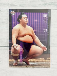 ☆ BBM2021 大相撲カード レギュラーカード 29 明生力 ☆