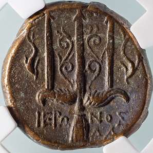 1円スタート！！【ポセイドン古代ギリシャ青銅貨】紀元前275-215年 シチリア島 シラクサ ヒエロン2世 NGC XF/リトラ/アンティークコインの画像5