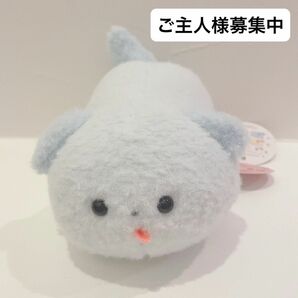 韓国　ほわんほわん　よろこび　ぬいぐるみ　ここ