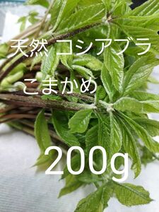 天然 コシアブラ こまかめ 約200g