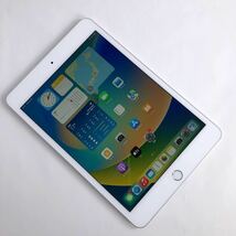 【1873】☆Bランク☆Apple☆iPad mini5 Wi-Fi+cellular 64GB☆シルバー☆利用制限○☆SIMフリー_画像8