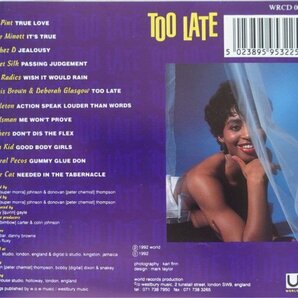 DJ Legends Of The 60's and 80's + Too Late 2CD Setの画像6