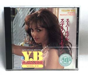 ◇PCソフト　Y.B.マガジン Vol.11 　ステイシー・モラン　海外アダルトROMマガジン　Windows　CD-ROM