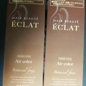 80g×2本セット　ヘアボーテ　エクラ　ECLAT ヘアカラー　ダークブラウン