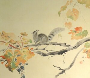 ◆◇掛軸 吉田鋤牛 山葡萄栗鼠 リス Jogyu Yoshida 尺五横 物故作家掛軸 hanging scroll◇◆初秋 晩秋 普段掛け JY1734