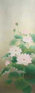 Art hand Auction ◆◇ TODA Kazunari/ Niigata, 1962-) Lotus Shakugoru Nuevo pergamino colgante de artista contemporáneo ◇◆Verano Pintura japonesa Pintura budista Servicio conmemorativo Colgante Pergamino colgante moderno Pintura de flores y pájaros JY2095, cuadro, pintura japonesa, flores y pájaros, pájaros y bestias