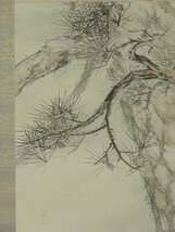 ◆◇掛軸 小田碧洋 老松白鶴図 半切立 hanging scroll◇◆正月 普段掛け めでた掛け 縁起物 茶道 JY1859_画像5