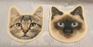 [ unused ] cat Coaster cat 