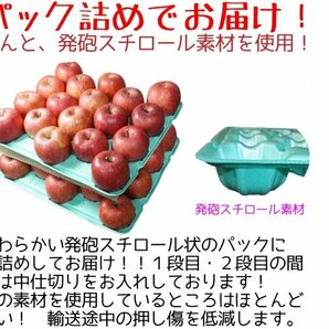 青森県産 りんご 訳あり ご家庭用 ふじ ５ｋｇ パック詰め 送料無料！の画像7